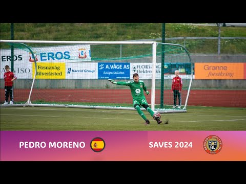 Pedro Moreno - Saves 2024 (Bergsøy IL)