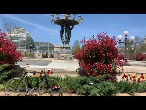 Cinelli Gazzetta in DC