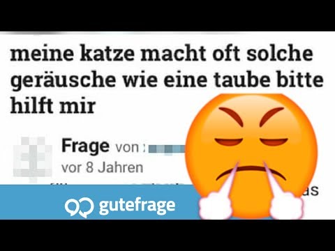 Junge.. Jetzt reicht es aber wirklich!!