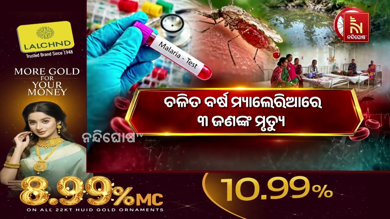 ଓଡ଼ିଶାକୁ ଘାରିଲାଣି ମ୍ୟାଲେରିଆ ଚିନ୍ତା । ଦେଶରେ ମ୍ୟାଲେର?