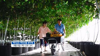[나는농부다 213회 예고] 백미남은 백향과를 좋아해