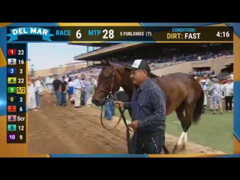 Amalfi Sunrise wins Sorrento Stakes (Grade II) Race 5 at Del Mar 08/03/19
