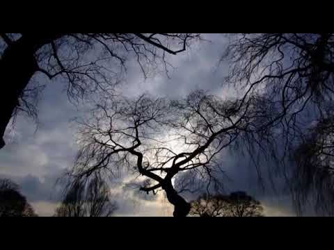 Jack Teagarden   A hundred years from today 1933