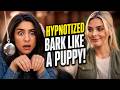 Hypnotized To Bark Like A Puppy Surreal Hypnosis