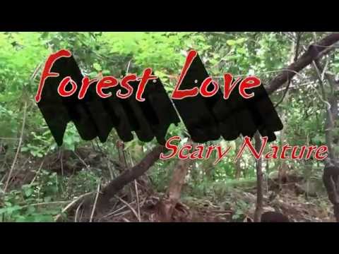 Forest Love...