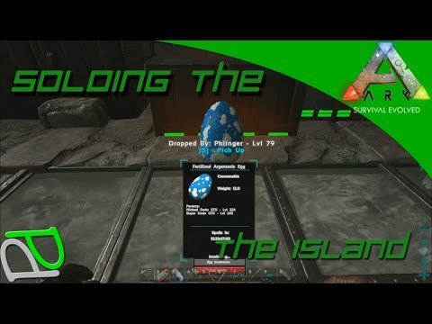 Argentavis Breeding! Soloing the Ark S2E20