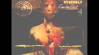 Front Line Assembly - Prophecy (Haujobb Remix)