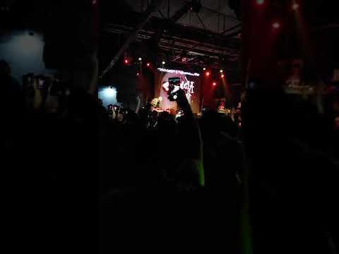 Patricia Love ! Malajunta Malandro x Gaspar Benegas (Vivo / El Jolgorio del Año)