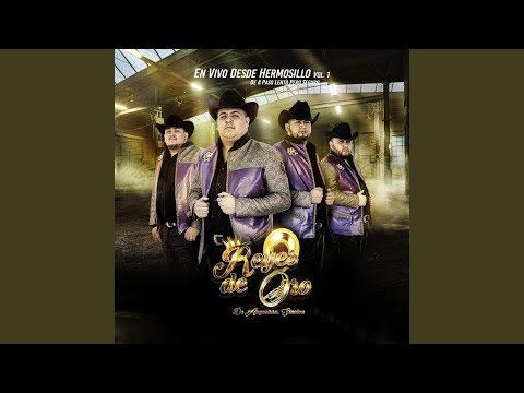 El Toro de Jalisco (En Vivo)