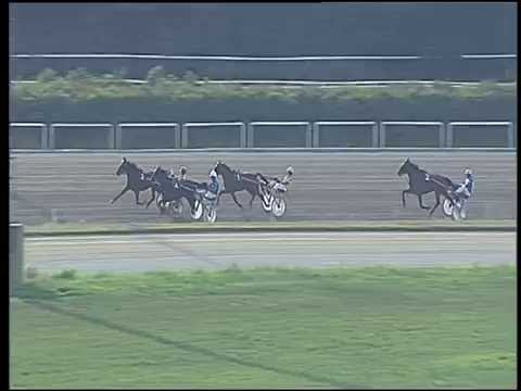 Trotto 11/06/2016 - 1° prova di qualifica