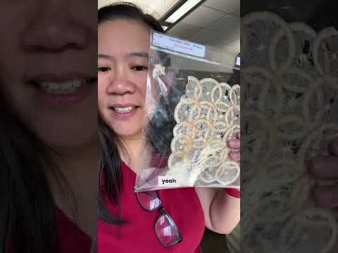 These Gorgeous Artist Papers are Made From…Materials Lab at the RISD Library