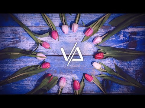 Sk-Hall & Ludwiig - New Beginning