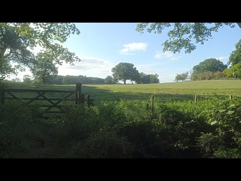 A place where no one goes AFTERNOON 