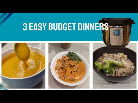 Cheap & Easy Instant Pot Meals | Family-Friendly & Delicious!