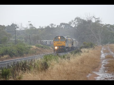 SSR grain in the rain, Lochiel,