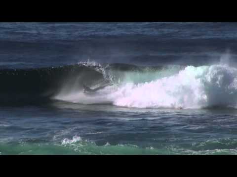 ANTONIO CARDOSO // ALIVE IN AUSTRALIA