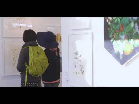 New Zealand's Botanical Art Worldwide 'Ngai Tipu Taketake - Indigenous Flora', 18th May 2018