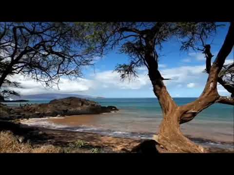 UNUTMA Kİ  - Ümit Yaşar Oğuzcan -Mustafa Bozan