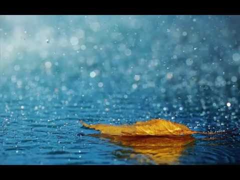 Beautiful wallpaper || Real nature wallpaper || Desktop nature wallpaper || 3D HD wallpaper part-2