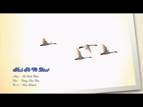 Tình sẽ về đâu? - Kim Khánh