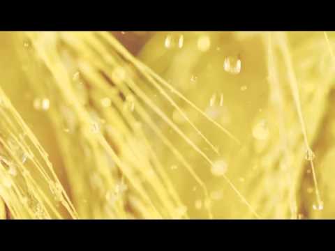 Ralph Myerz - Music & Me