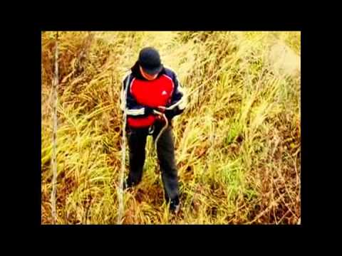 D.C.S.J. 2010 - НЕЕЕЕ я нормальный, часть 2