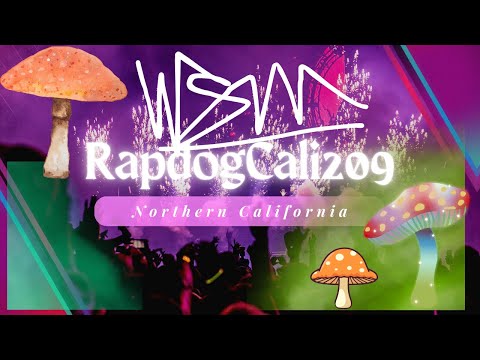 RapdogCali209 - War Freestyle(Chief Keef Beat)