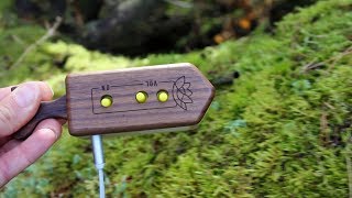 Video thumbnail for Glo the Polyphonic Whale - Forest (elemental mood channel) by Gechologic