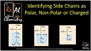 Identifying amino acid side chains as polar, non-polar or charged - Real Chemistry
