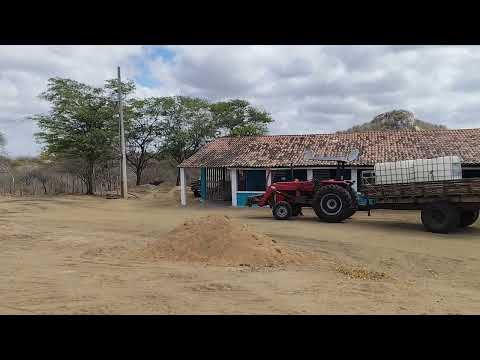 FZ. Bacana Mininiho Oliveira Município de Casserengue PB 
