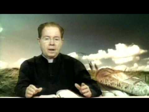 O Pão Nosso  9 Novembro 2016     -     Pe. F. C. Cardoso