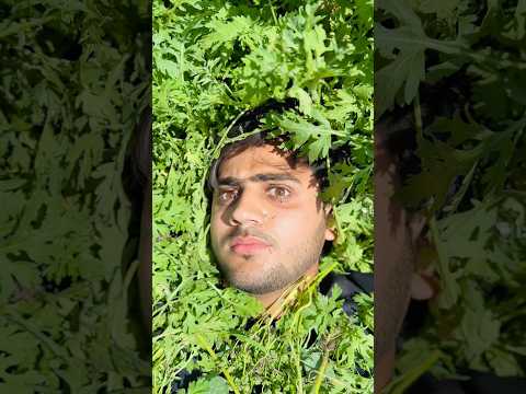 Flag 😰 #youtube #emotional #explore #youtubeshorts #end #pakarmy