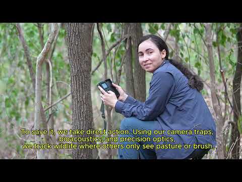 Save Wildlife & Magdalena Tinamou in Colombia