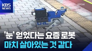 로봇도 ‘자율주행’…차-로봇 ‘기술 교차’ 가속화 / KBS  2026.04.16.