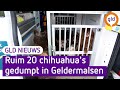 GLD Nieuws 9 januari 2022