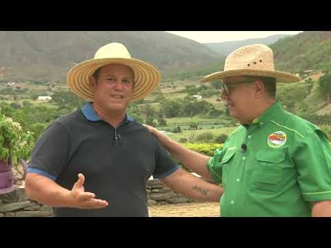 2da Parte 24 minutos, Programa Cultivo de CAFE  en Carache