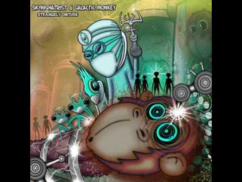 Galactic Monkey - Fiddlesticks