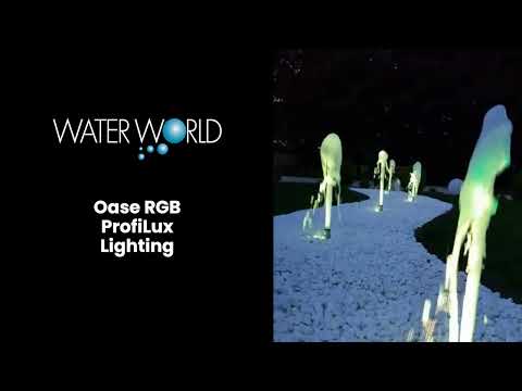 Watch Video on YouTube