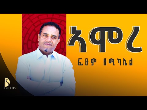 Fitsum Zemichael - ኣሞረ - ፍጹም ዘሚካኤል - Amore - Tigrigna Music (Official Audio) 2025 #ethiopianmusic
