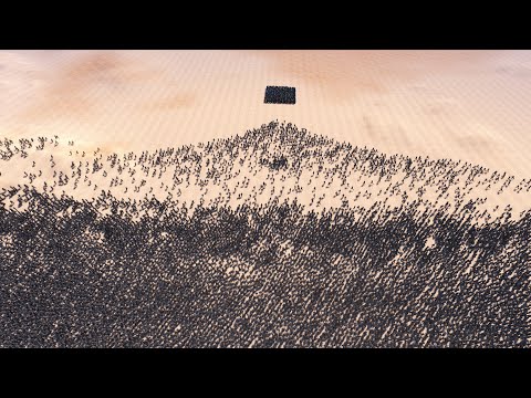 500 JEDI Vs 30,000 WILDMAN ULTIMATE EPIC BATTLE SIMULATOR UEBS