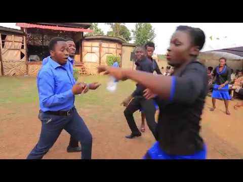 Nga tutuusa - Golden Seal