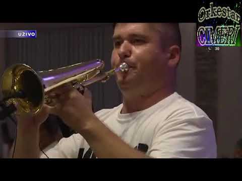 Srdjan Cvetkovic Or.CIMERI uvodno kolo UZIVO može li pesma