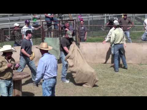 2010 Sabinal Hog Festival Kason & Travis HD.mov