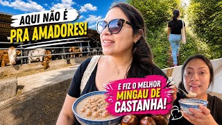 Suíça não é pra amadores e fiz o melhor mingau de castanha do Pará 