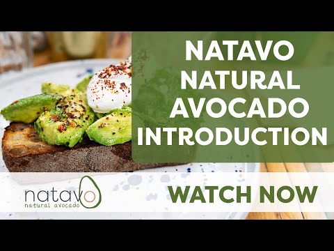 Natavo Avocado Introduction Video
