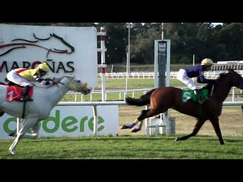 220618 c07 PARCEIRO DE FE (BRZ)