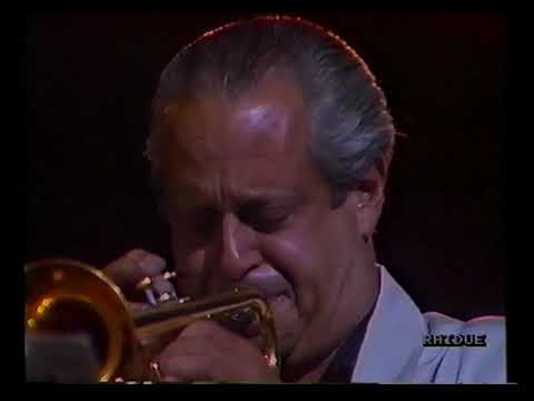 The Blues Brothers Band Live at Pistoia Blues 1988