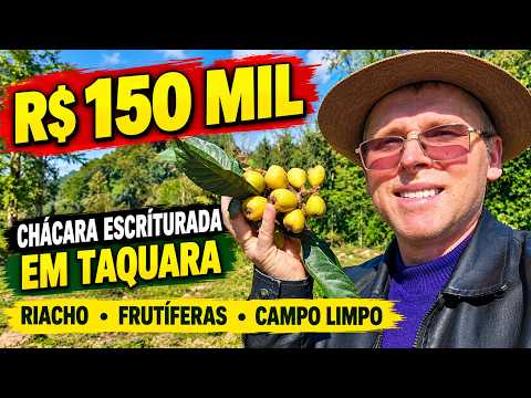 Vídeo