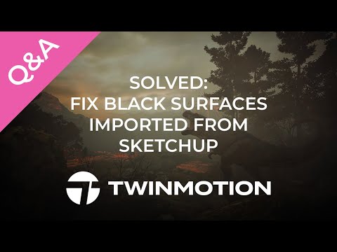 Twinmotion 2024.1 - Solved: black surfaces imported from Sketchup