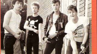 Anti Pasti - brew your own